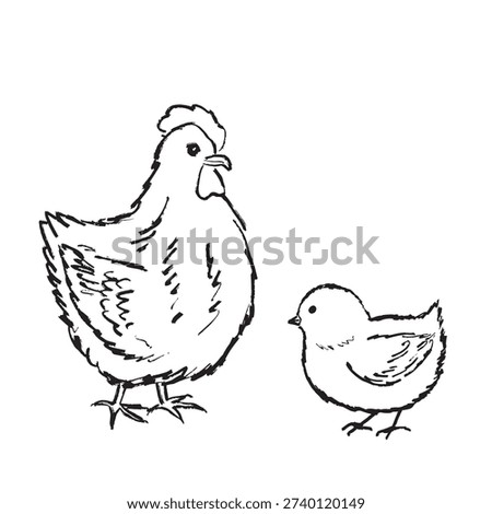 Hand drawn hen and chick. Farmyard scene with detailed feather textures, domestic farm animal. Vector sketch illustration in vintage doodle crayon charcoal style.