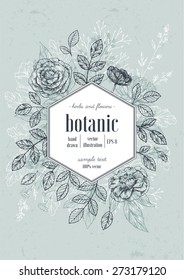 Hand drawn herb composition. Floral template. Vector illustration