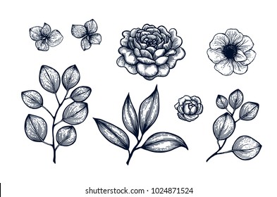Hand drawn herb and flower set. Vintage  vector illustration. Engraving 