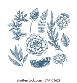 Hand drawn herb and flower set. Vintage engraved flowers. Vector illustration