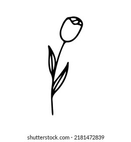 Hand drawn herbal, floral clipart. One line doodle vector