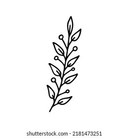 Hand drawn herbal, floral clipart. One line doodle vector