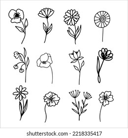 Hand drawn herbal, floral clipart collection. One line doodle vector set