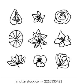 Hand drawn herbal, floral clipart collection. One line doodle vector set