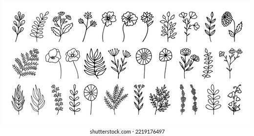 Hand drawn herbal, floral clipart collection. One line doodle vector set