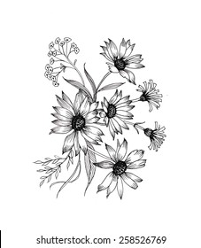 Hand drawn herbal flowers isolated on white background vector illustration