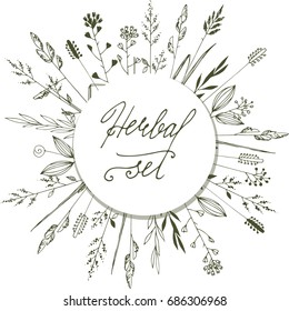 hand drawn herbal set background