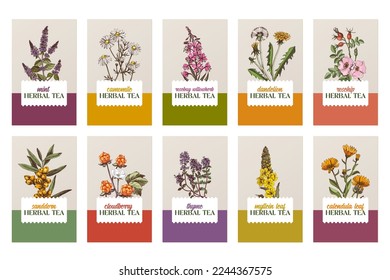 Hand drawn herbal tea banners design templates