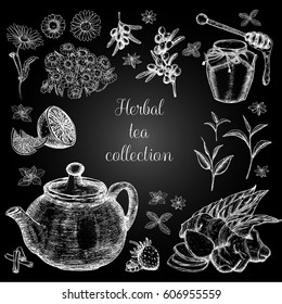 Hand drawn herbal tea collection. Freehand drawing with imitation of chalk sketch.