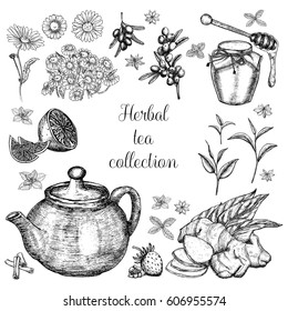 Hand drawn herbal tea collection.