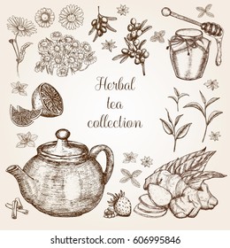 Hand drawn Herbal Tea collection in vintage style