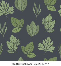 Hand drawn herbs background. Cilantro, tarragon, basil, parsley, laurel bay, rosemary