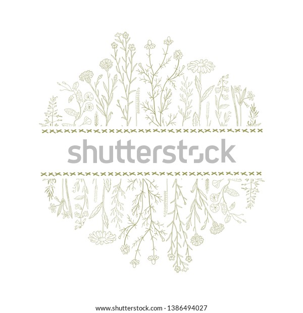 Hand\
drawn herbs and flowers background and place for text. Vintage\
design sketched vector illustration. Line art\
style.