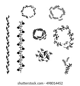 hand drawn herbs on a white background