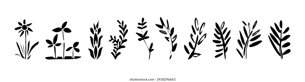 Hand drawn  herbs set made in vector . Different types of forest and meadow plants for the logo, label or branding design.Ink texture.