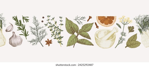 Hand drawn herbs and spices arranged in seamless decoration line. Culinary illustration