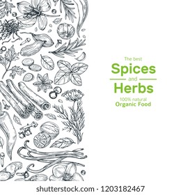 Hand drawn herbs and spices background. Vintage organic indian kitchen and asian spices vector cooking concept. Ingredient for cooking, spice and herb, rosemary and cardamom illustration