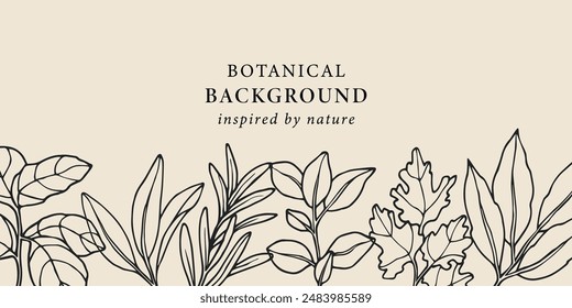 Hand drawn herbs and spices background