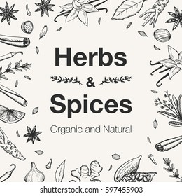 Hand drawn herbs and spices collection. Vintage set of kitchen herbs and spices. Vector illustration.