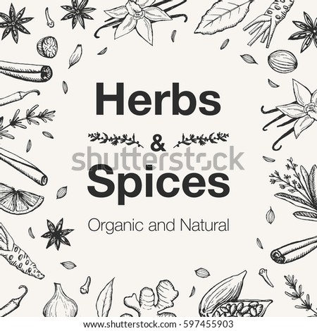 Hand drawn herbs and spices collection. Vintage set of kitchen herbs and spices. Vector illustration.