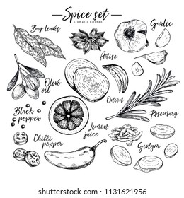 Hand drawn herbs, spices and condiments. Vector bay leaves, anise, garlic, olive oil, onion, pepper, chilli, lemon, rosemary and ginger icons. Engraved illustration. Restaurant menu design, packaging.