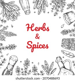 Hand drawn herbs and spices design. Vector illustration in sketch style