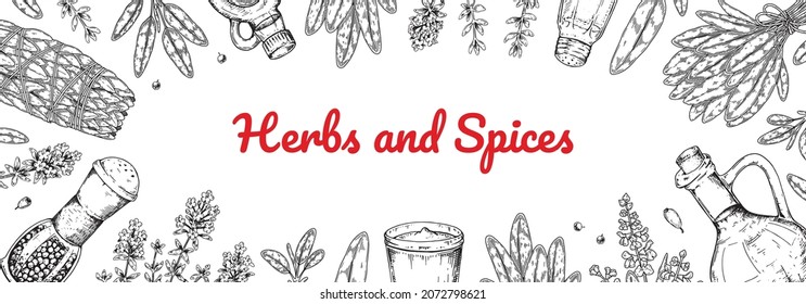 Hand drawn herbs and spices design. Vector illustration