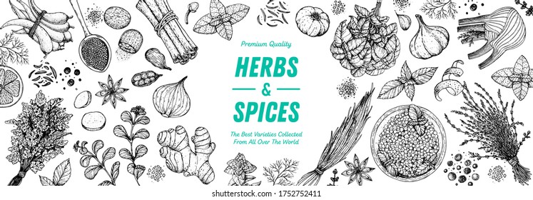 Hand Drawn Herbs and Spices Vector Collection, Vintage Engraving Style Culinary Illustration for Restaurant Menu, Food Packaging and Organic Branding Design