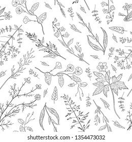 Hand drawn herbs and wild flowers on white background. Seamless pattern. Rustic template. Vintage design sketched vector illustration.