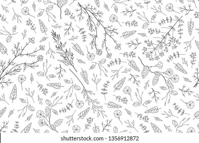 Hand drawn herbs, wild flowers, leaves on white background. Seamless pattern. Rustic template. Vintage design sketched vector illustration.