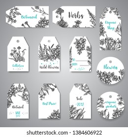 Hand drawn herbs and wild flowers tags and labels Vintage collection of Plants Vector illustrations in sketch style