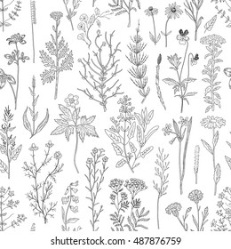 Hand drawn herbs and wild flowers on white background. Seamless pattern. Rustic template. Vintage design sketched vector illustration.