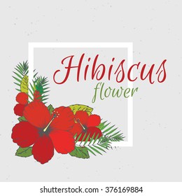 Hand drawn hibiscus
