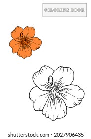 Hand drawn hibiscus flower adult coloring book page with colored template. Doodle style. Black and white vector illstration isolated on white background.