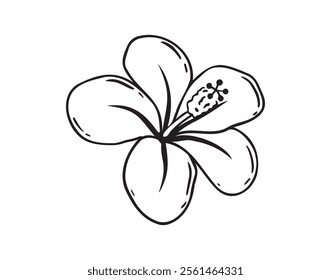 Hand drawn hibiscus flower, chinese rose doodle icon. Hibiscus outline icon, simple vector line clipart drawing, black and white isolated image on a white background. Vector illustration