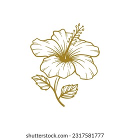 Hand drawn hibiscus flower. Hibiscus flower line art vector illustration