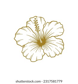 Hand drawn hibiscus flower. Hibiscus flower line art vector illustration