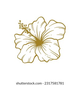 Hand drawn hibiscus flower. Hibiscus flower line art vector illustration