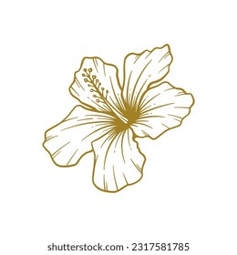 Hand drawn hibiscus flower. Hibiscus flower line art vector illustration