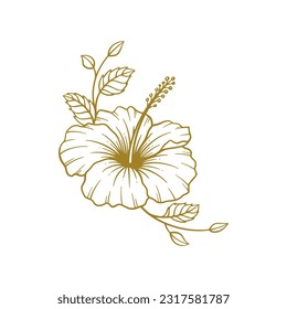 Hand drawn hibiscus flower. Hibiscus flower line art vector illustration