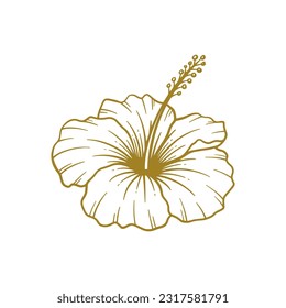 Hand drawn hibiscus flower. Hibiscus flower line art vector illustration