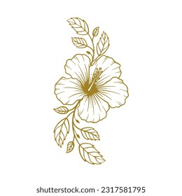 Hand drawn hibiscus flower. Hibiscus flower line art vector illustration