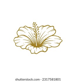 Hand drawn hibiscus flower. Hibiscus flower line art vector illustration