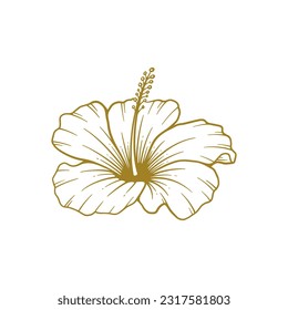 Hand drawn hibiscus flower. Hibiscus flower line art vector illustration