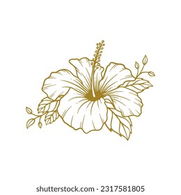 Hand drawn hibiscus flower. Hibiscus flower line art vector illustration