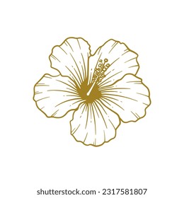 Hand drawn hibiscus flower. Hibiscus flower line art vector illustration