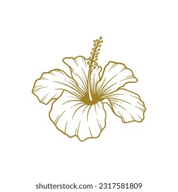 Hand drawn hibiscus flower. Hibiscus flower line art vector illustration