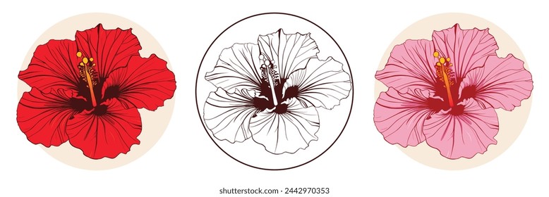 Hand drawn hibiscus flower. Hibiscus flower line art vector illustration