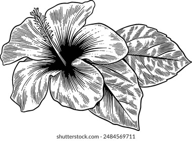 Hand drawn Hibiscus Flower Sketch Illustration