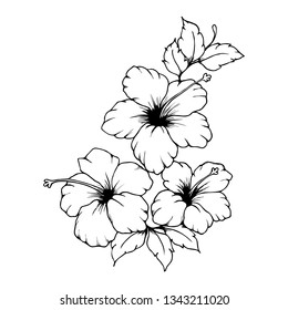 Black And White Images Of Hibiscus Flower - Eveliza Tumisma